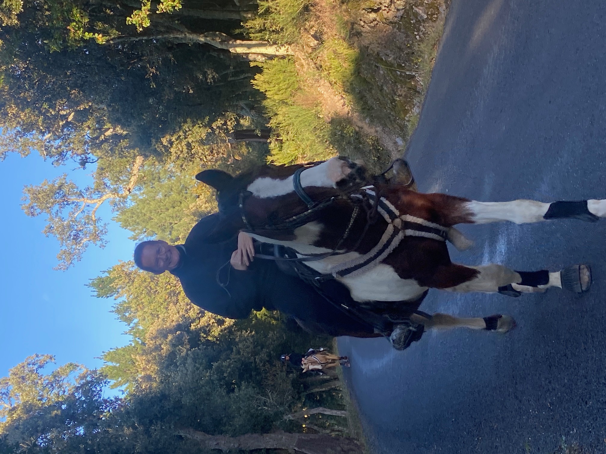 Béatrice Lambert à cheval dans le domaine OR-LIMIT