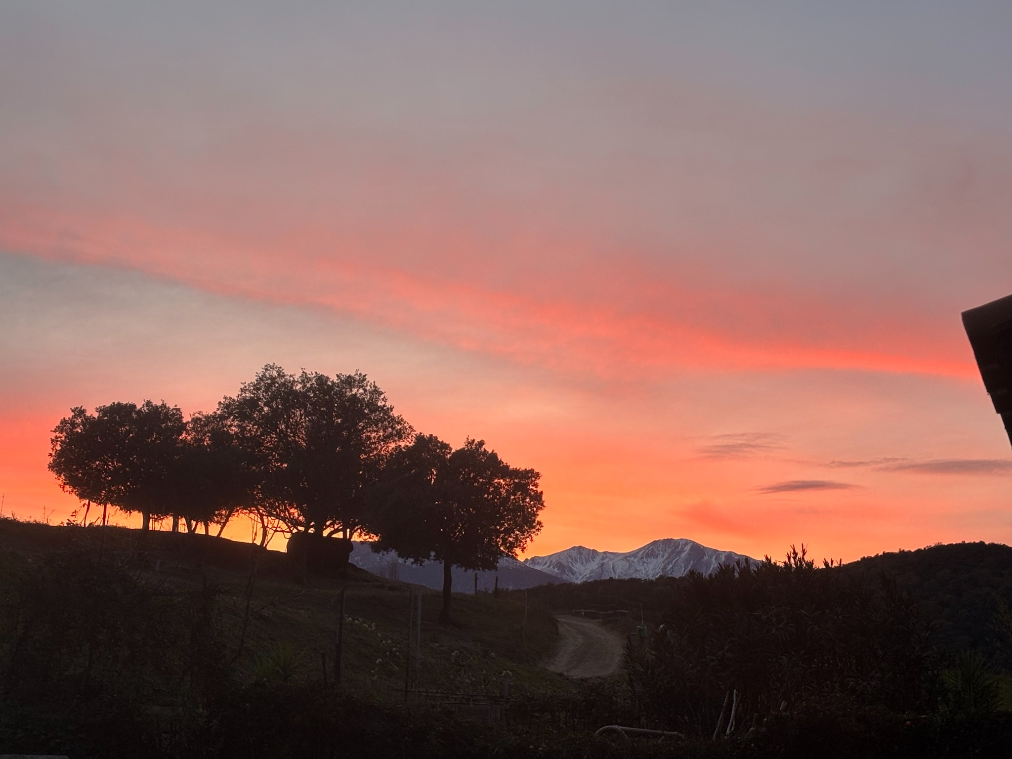 Paysage du domaine OR-LIMIT au coucher du soleil